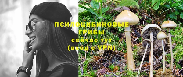 гидропоника Кукмор