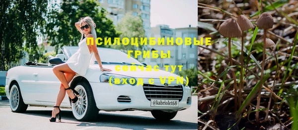 гидропоника Кукмор