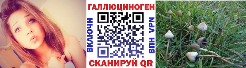 Псилоцибиновые грибы Magic Shrooms Нефтекамск