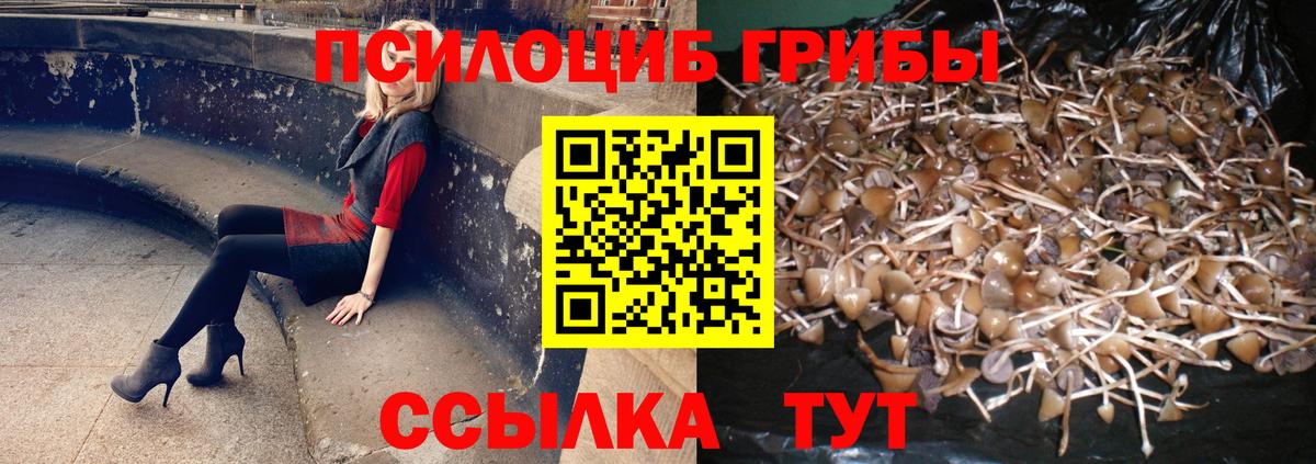Псилоцибиновые грибы мухоморы Нефтекамск